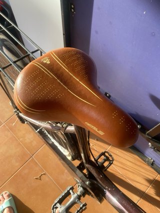 Bicicleta Clásica City 65 Marrón