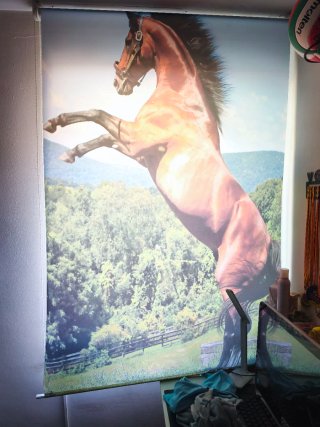 Cortina a rullo con cavallo per camera da letto per bambini e ragazzi