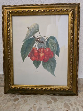 Cuadro de cerezas en marco dorado