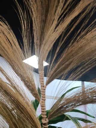 Pluma Decoración 2,50m !