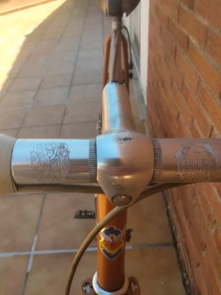 Bicicleta Macario Profesional Vintage