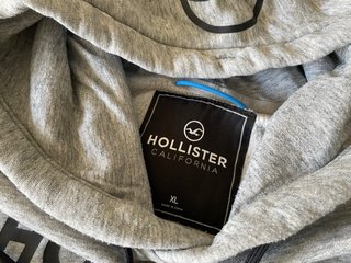 Sudadera Hollister con capucha