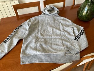 Sudadera Hollister con capucha