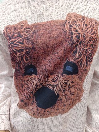 Jersey beige perro Shein - sin estrenar