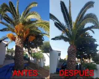 Múltiservicios Torredembarra