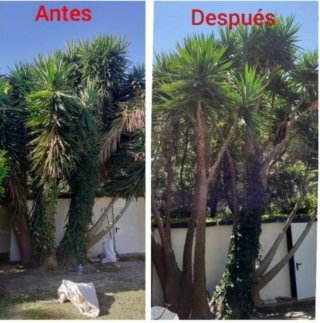Múltiservicios Torredembarra