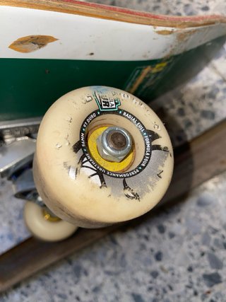 SKATE GIRL MITAD DE PRECIO