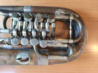 Bombardino Rott Clásico Sib