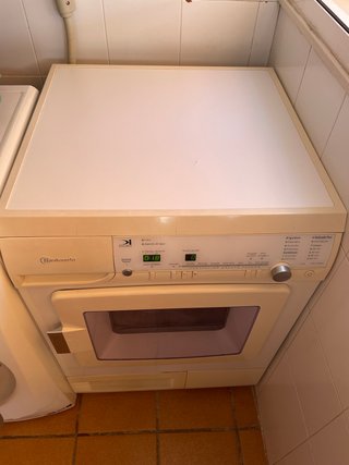 Secadora Bauknecht TRKE 6960/2