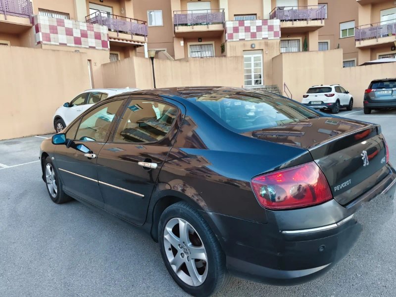 Peugeot 407 2005 - foto 1