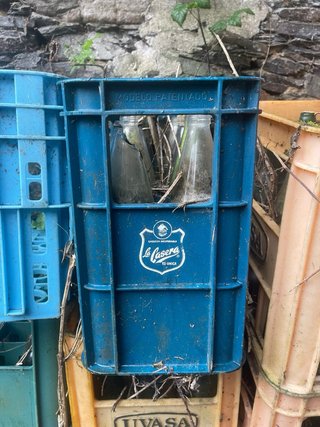 Canastas cajas ceetas botellas vintaje
