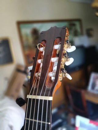 Guitarra Pedro De Miguel 2023 + Funda