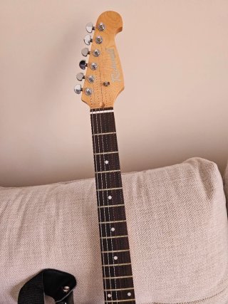 Guitarra Eléctrica Richwood Sunburst
