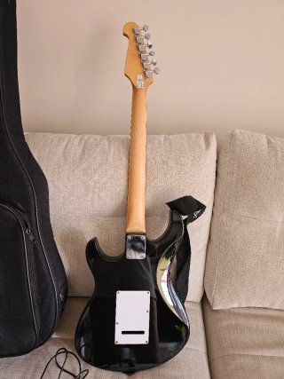 Guitarra Eléctrica Richwood Sunburst