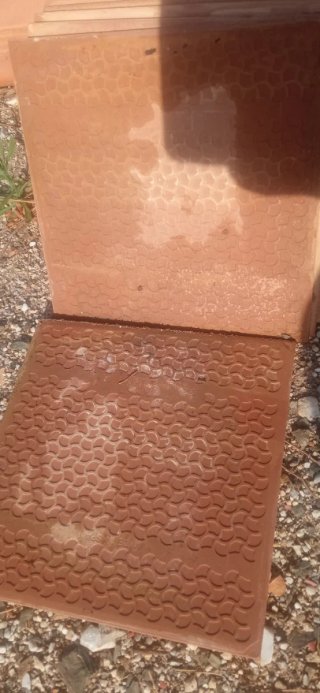 Azulejo blanco