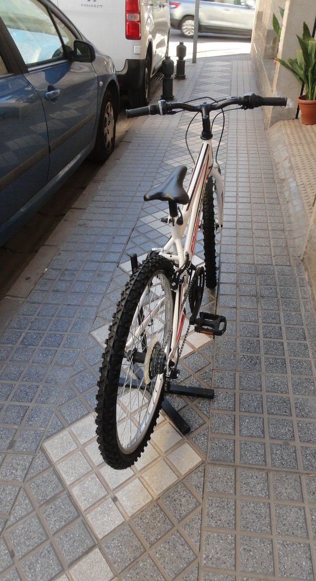 Bicicleta Denver Freerider 24 Buen Estado