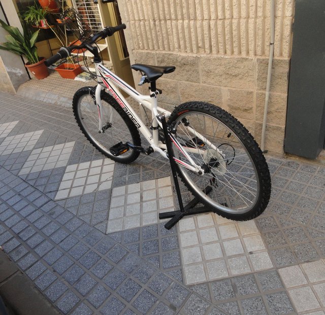 Bicicleta Denver Freerider 24 Buen Estado