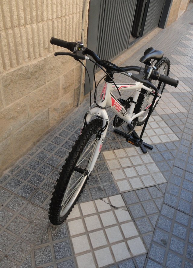 Bicicleta Denver Freerider 24 Buen Estado