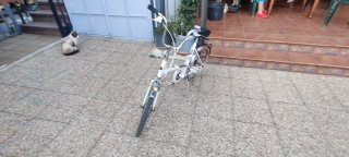 Bicicleta plegable blanca