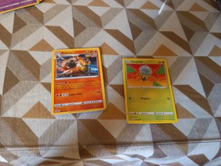 Cartas Pokémon Mawile y Entei
