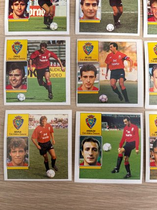 Lote 21 cromos Osasuna Liga 92-93