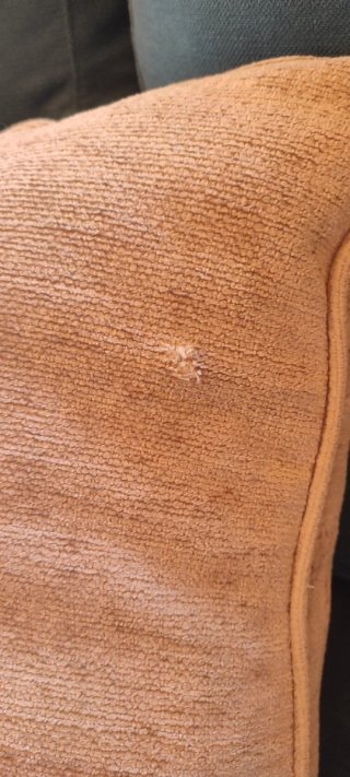 Cojines tela color beige
