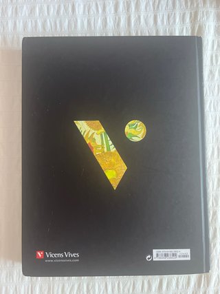 Artearen historia - Vicens Vives