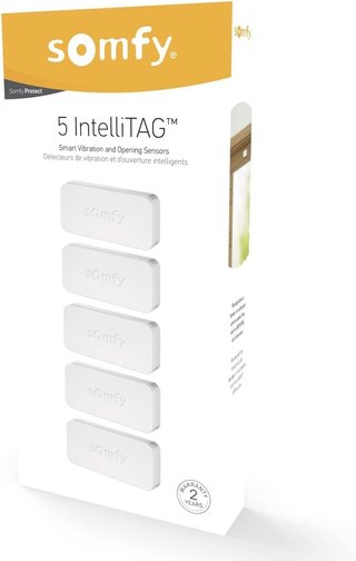 Somfy sensor puerta detector intrusión