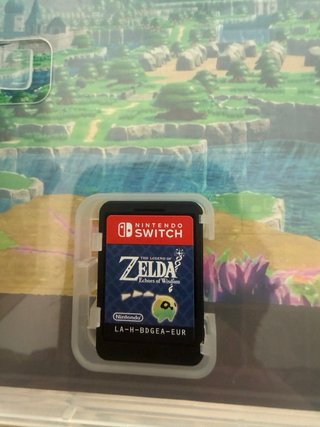 The Legend of Zelda: Echoes of Wisdom Switch