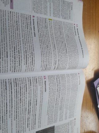 Libro HISTORIA DE LA FILOSOFÍA 2°BACH MCGRAWHILL.