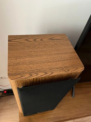 Altavoces Infinity RS3001