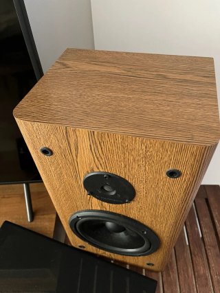 Altavoces Infinity RS3001