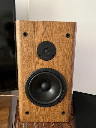 Altavoces Infinity RS3001