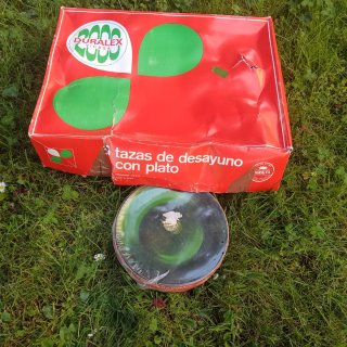 6 Juegos de desayuno Duralex Verde y 6 platos