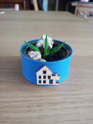 Macetita con planta cebra