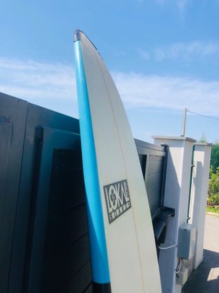 Tabla surf evolutiva