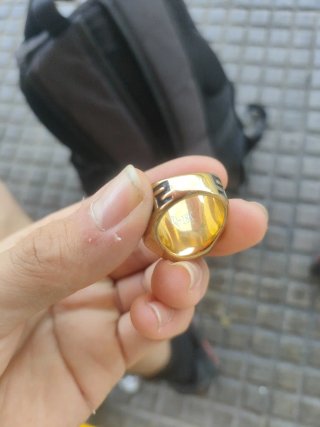 Anillo Sello Dorado León Estilo Versace (Acero)