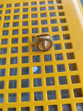 Anillo Sello Dorado León Estilo Versace (Acero)