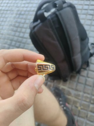 Anillo Sello Dorado León Estilo Versace (Acero)