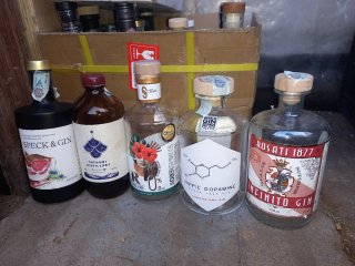 Bottiglie vuote di Gin - 6 pezzi