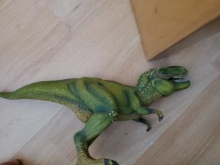 Lote tiranosaurus rex