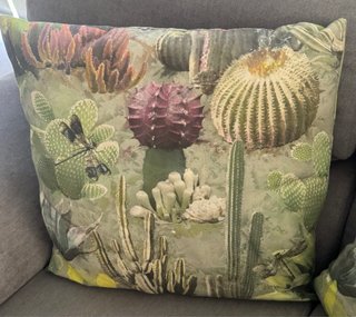 2 Cuscini Decorativi Stampati per Esterno
