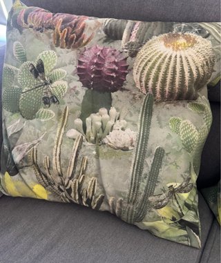 2 Cuscini Decorativi Stampati per Esterno