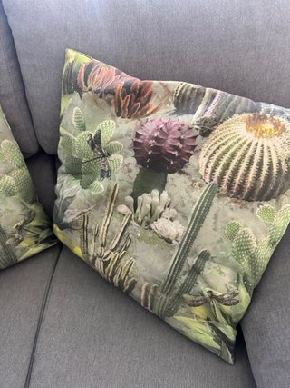 2 Cuscini Decorativi Stampati per Esterno