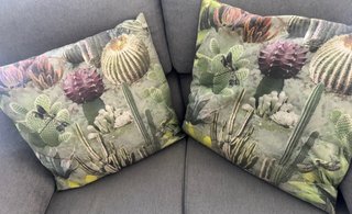 2 Cuscini Decorativi Stampati per Esterno