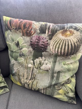 2 Cuscini Decorativi Stampati per Esterno