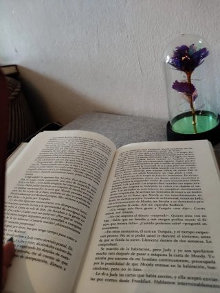 No sin mi hija