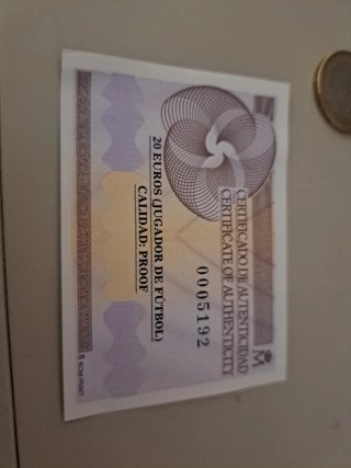 Moneda Oro Campeones del Mundo 20€