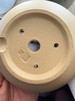 Maceta Bonsái Tokoname Artesanal 14cm x 5,8