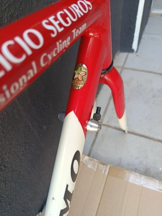 Cuadro OLMO VITALICIO SEGUROS